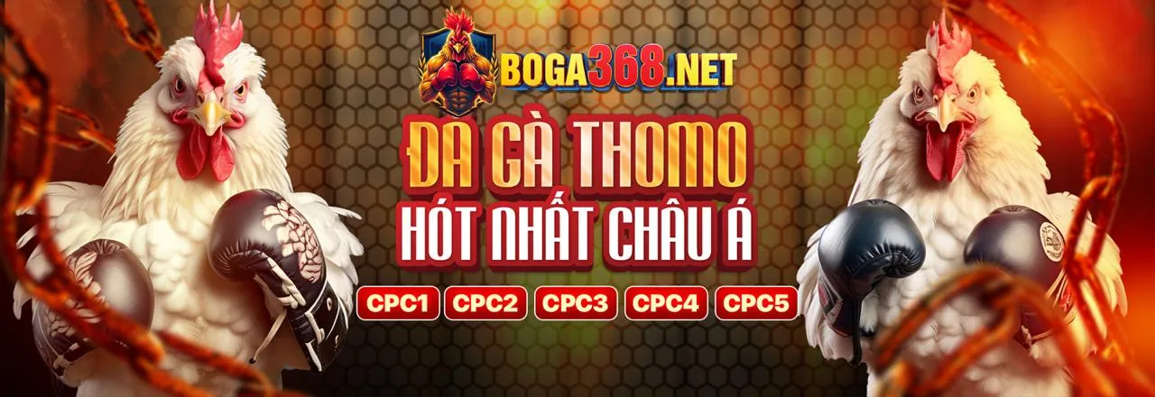 Đá gà trực tuyến kịch tính tại khin789